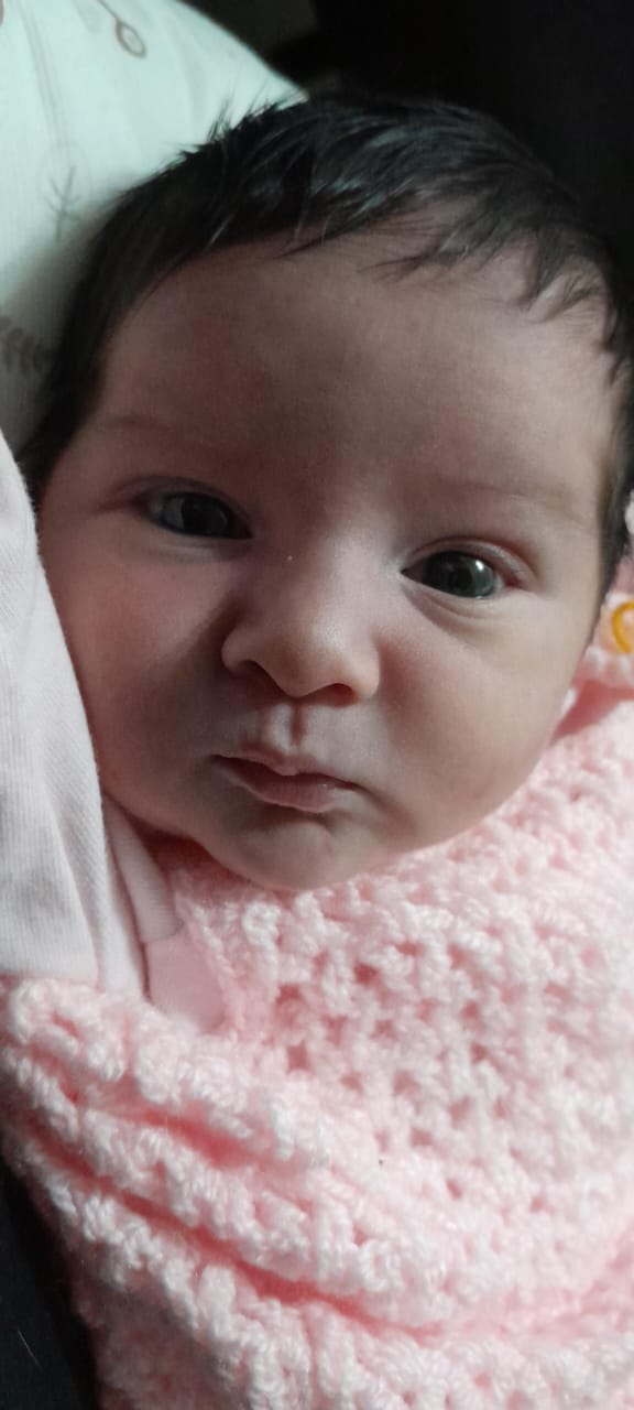 WhatsApp Image 2024-08-08 at 18.36.05.jpeg